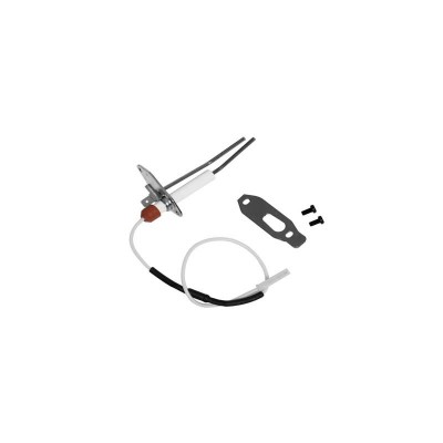 Poza Kit electrozi centrale termice Ferroli Bluehelix Pro 32C. Poza 9606